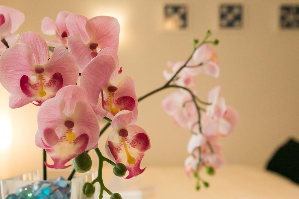 Espacioso Apartamento Jinetes มาลากา ภายนอก รูปภาพ